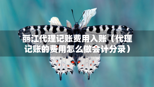 麗江代理記賬費(fèi)用入賬（代理記賬的費(fèi)用怎么做會(huì)計(jì)分錄）