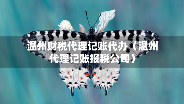 溫州財(cái)稅代理記賬代辦（溫州代理記賬報(bào)稅公司）