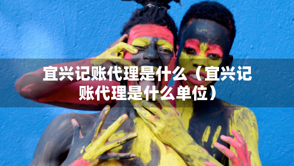 宜興記賬代理是什么（宜興記賬代理是什么單位）