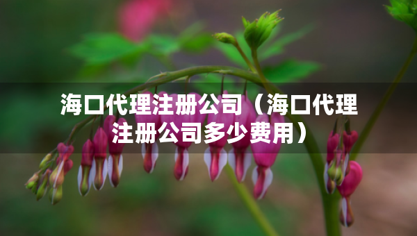 ?？诖碜?cè)公司（海口代理注冊(cè)公司多少費(fèi)用）