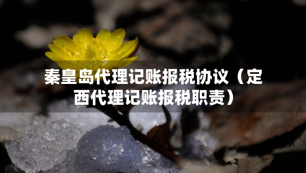 秦皇島代理記賬報(bào)稅協(xié)議（定西代理記賬報(bào)稅職責(zé)）