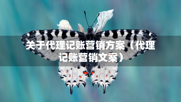 關(guān)于代理記賬營銷方案（代理記賬營銷文案）
