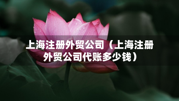 上海注冊外貿(mào)公司（上海注冊外貿(mào)公司代賬多少錢）