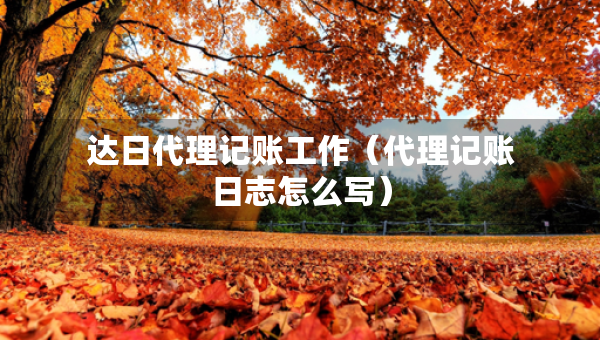 達(dá)日代理記賬工作（代理記賬日志怎么寫）