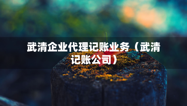 武清企業(yè)代理記賬業(yè)務(wù)（武清記賬公司）