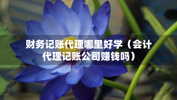 財(cái)務(wù)記賬代理哪里好學(xué)（會(huì)計(jì)代理記賬公司賺錢(qián)嗎）