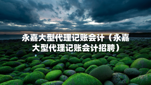 永嘉大型代理記賬會(huì)計(jì)（永嘉大型代理記賬會(huì)計(jì)招聘）