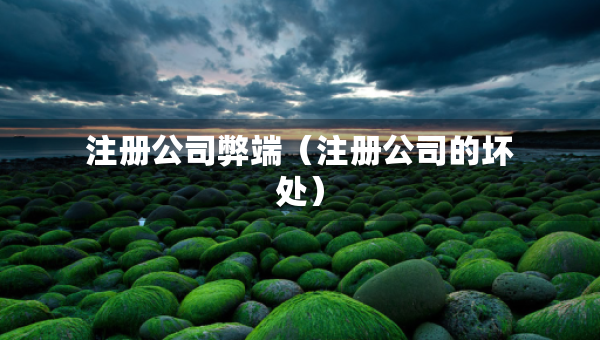 注冊(cè)公司弊端（注冊(cè)公司的壞處）