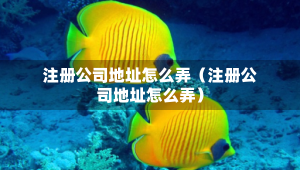 注冊(cè)公司地址怎么弄（注冊(cè)公司地址怎么弄）