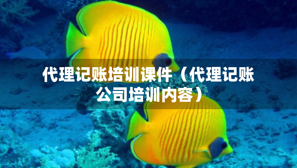 代理記賬培訓(xùn)課件（代理記賬公司培訓(xùn)內(nèi)容）
