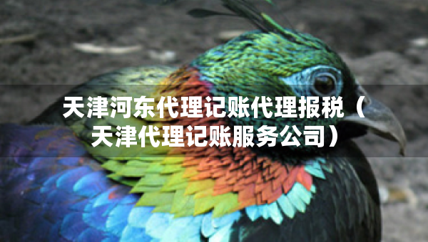 天津河?xùn)|代理記賬代理報(bào)稅（天津代理記賬服務(wù)公司）