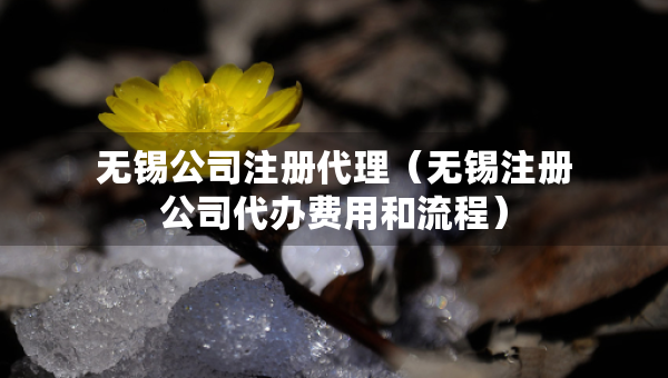 無錫公司注冊(cè)代理（無錫注冊(cè)公司代辦費(fèi)用和流程）