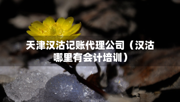 天津漢沽記賬代理公司（漢沽哪里有會計培訓(xùn)）