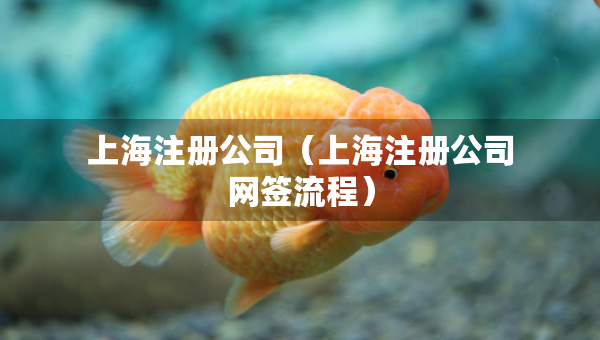 上海注冊(cè)公司（上海注冊(cè)公司網(wǎng)簽流程）