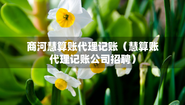 商河慧算賬代理記賬（慧算賬代理記賬公司招聘）