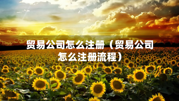 貿(mào)易公司怎么注冊（貿(mào)易公司怎么注冊流程）