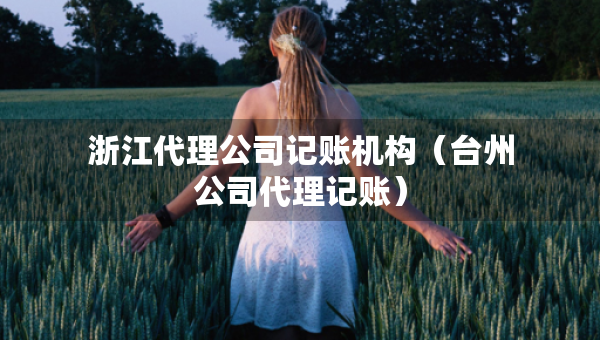 浙江代理公司記賬機(jī)構(gòu)（臺(tái)州公司代理記賬）