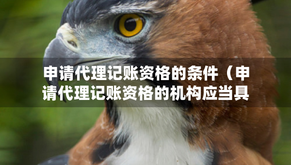 申請代理記賬資格的條件（申請代理記賬資格的機構(gòu)應(yīng)當具備哪些條件）