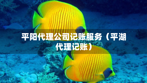 平陽代理公司記賬服務(wù)（平湖代理記賬）