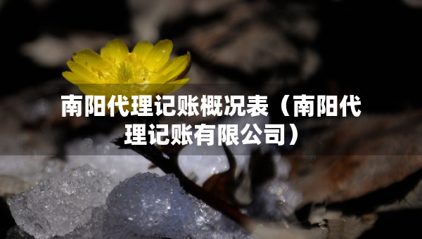 南陽代理記賬概況表（南陽代理記賬有限公司）