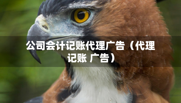 公司會計記賬代理廣告（代理記賬 廣告）