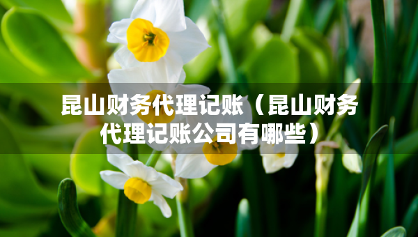 昆山財(cái)務(wù)代理記賬（昆山財(cái)務(wù)代理記賬公司有哪些）