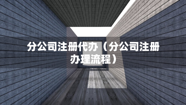 分公司注冊(cè)代辦（分公司注冊(cè)辦理流程）