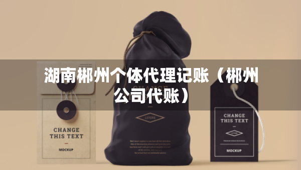 湖南郴州個(gè)體代理記賬（郴州公司代賬）