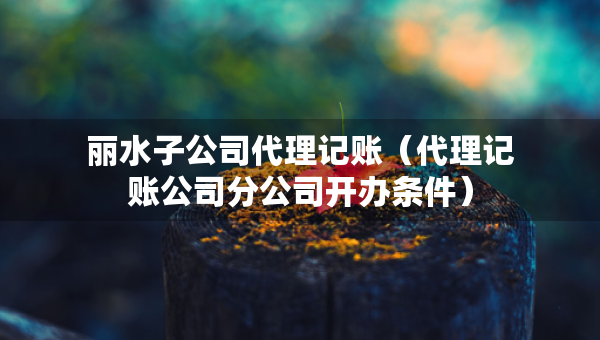 麗水子公司代理記賬（代理記賬公司分公司開辦條件）