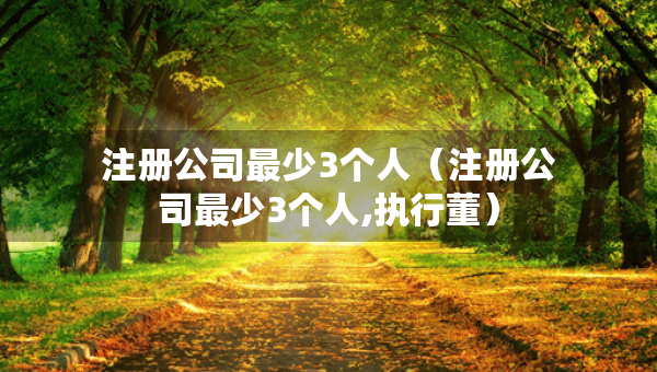 注冊(cè)公司最少3個(gè)人（注冊(cè)公司最少3個(gè)人,執(zhí)行董）