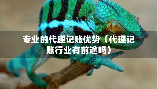 專業(yè)的代理記賬優(yōu)勢(shì)（代理記賬行業(yè)有前途嗎）