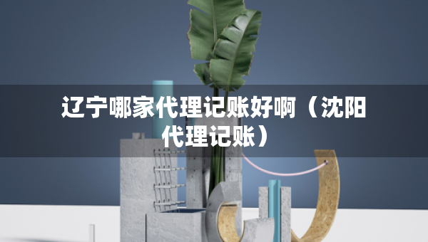 遼寧哪家代理記賬好?。ㄉ蜿?yáng)代理記賬）