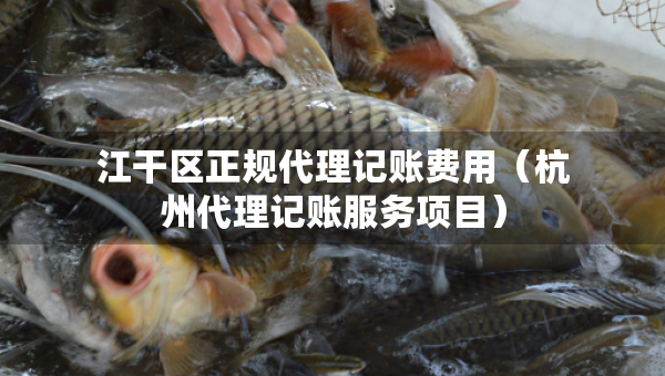 江干區(qū)正規(guī)代理記賬費用（杭州代理記賬服務項目）