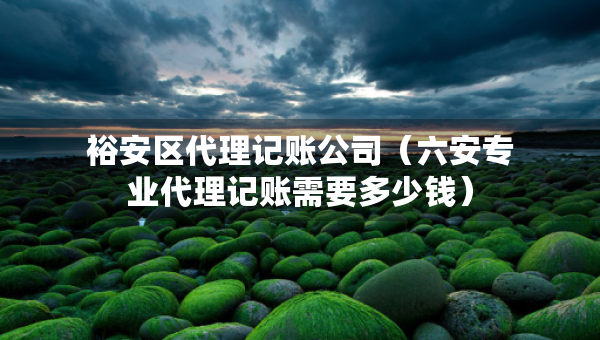 裕安區(qū)代理記賬公司（六安專(zhuān)業(yè)代理記賬需要多少錢(qián)）