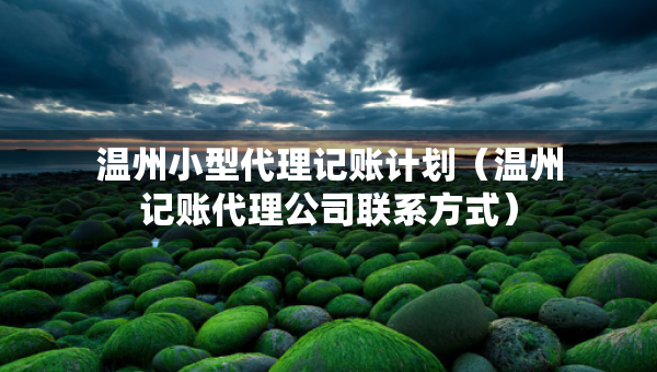 溫州小型代理記賬計劃（溫州記賬代理公司聯(lián)系方式）