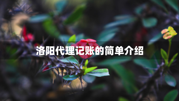 洛陽代理記賬的簡單介紹