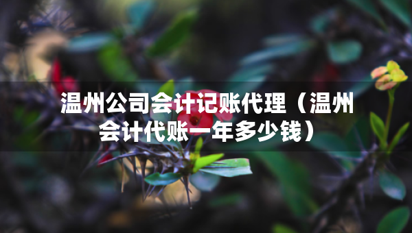 溫州公司會計記賬代理（溫州會計代賬一年多少錢）