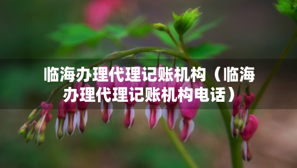 臨海辦理代理記賬機(jī)構(gòu)（臨海辦理代理記賬機(jī)構(gòu)電話(huà)）