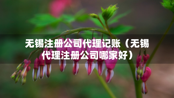 無(wú)錫注冊(cè)公司代理記賬（無(wú)錫代理注冊(cè)公司哪家好）