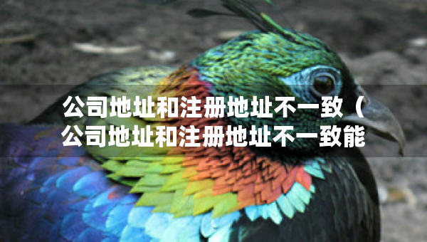 公司地址和注冊(cè)地址不一致（公司地址和注冊(cè)地址不一致能舉報(bào)嗎）