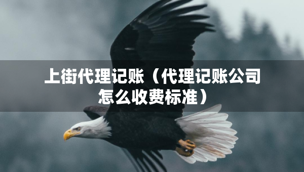 上街代理記賬（代理記賬公司怎么收費標準）