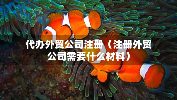 代辦外貿(mào)公司注冊（注冊外貿(mào)公司需要什么材料）