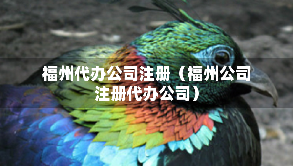 福州代辦公司注冊(cè)（福州公司注冊(cè)代辦公司）