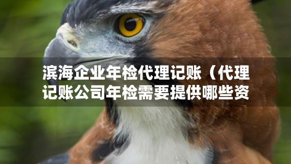 濱海企業(yè)年檢代理記賬（代理記賬公司年檢需要提供哪些資料）