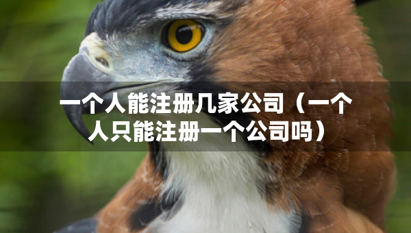 一個人能注冊幾家公司（一個人只能注冊一個公司嗎）