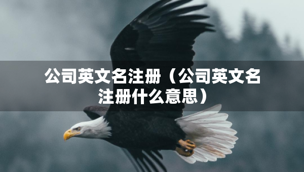 公司英文名注冊（公司英文名注冊什么意思）