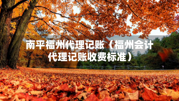 南平福州代理記賬（福州會(huì)計(jì)代理記賬收費(fèi)標(biāo)準(zhǔn)）