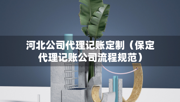 河北公司代理記賬定制（保定代理記賬公司流程規(guī)范）
