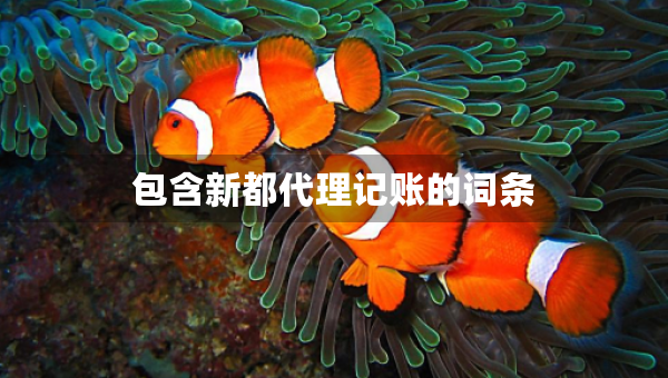 包含新都代理記賬的詞條