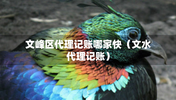 文峰區(qū)代理記賬哪家快（文水代理記賬）